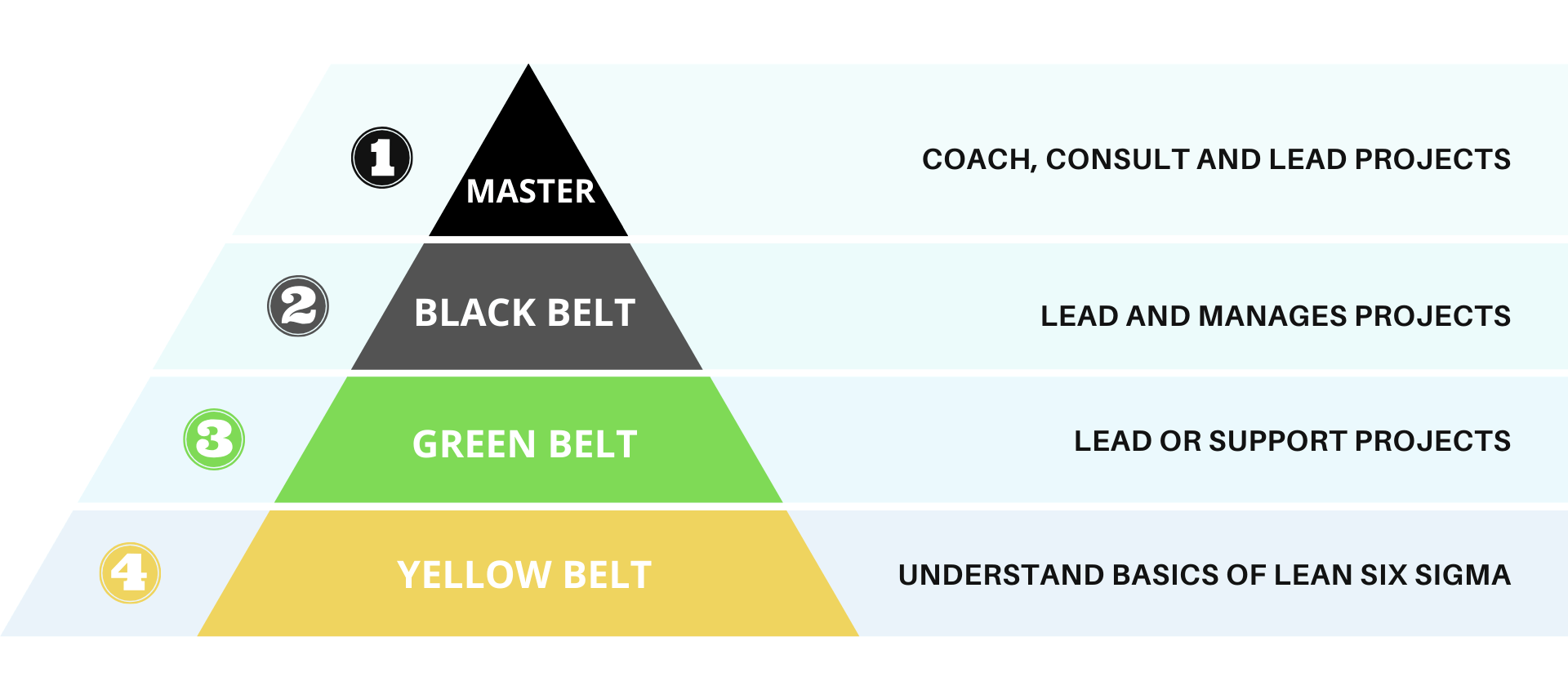 Green Belt Lean : O que é,qual sua ...