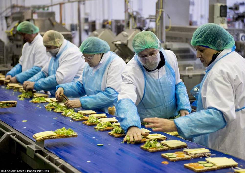 Funcionários realizando a montagens de sanduíches em um Layout de produção