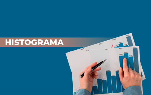 Curso de Histograma: Saiba o que é e como construir | Labone