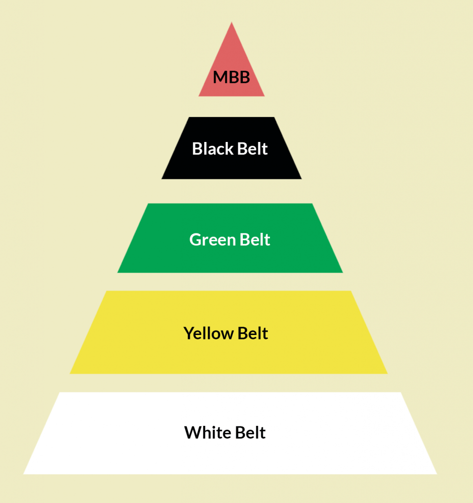 Diferentes níveis do Lean Six Sigma