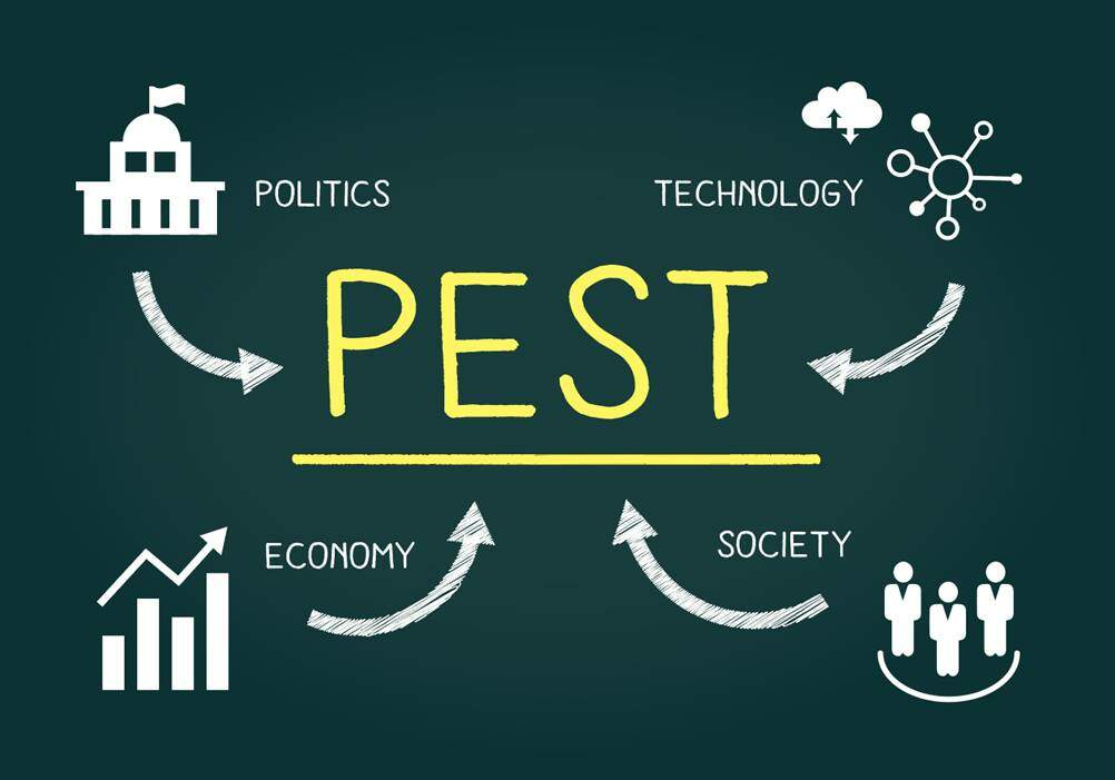 Análise PEST: Entenda o que é e como fazer