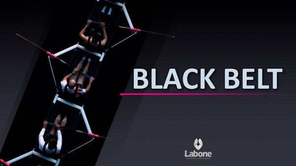 Formação Black Belt: O que é e quais são as características
